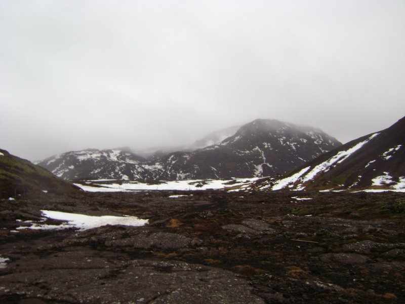 DSC08311.JPG