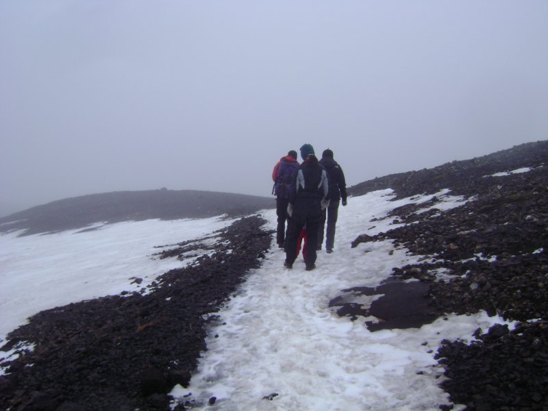 DSC08330.JPG