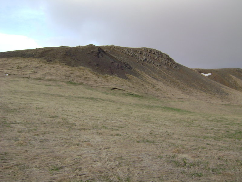 DSC08782.JPG