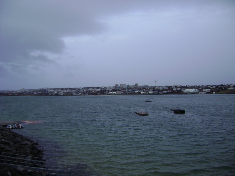 DSC08829.JPG