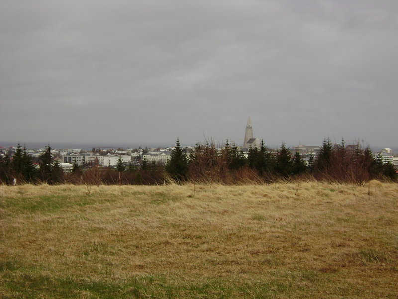DSC08836.JPG