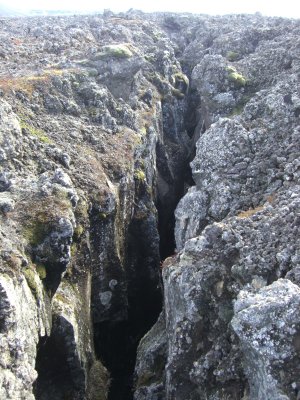 CIMG7000.JPG