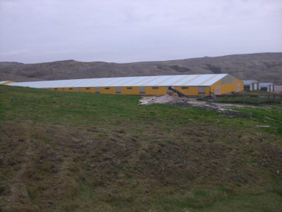 CIMG8679.JPG