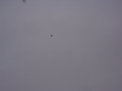DSC04038.JPG