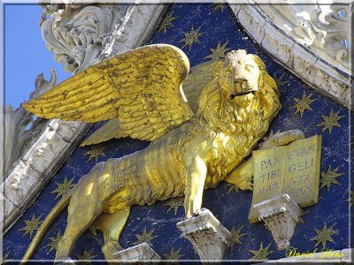 IMG_1115-border.jpg