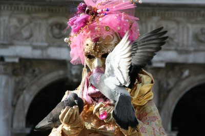 Dame  Susi et les pigeons de st Marc.JPG