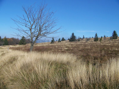 Automne07_010.jpg