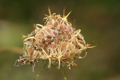Automne07_021.jpg