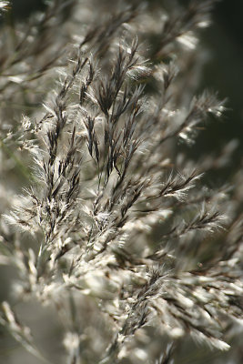 Automne07_036.jpg