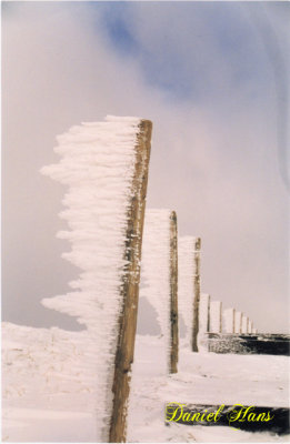 allee de piquets gels au Hohneck .jpg