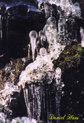cornets de glace .jpg