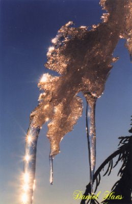 glaon dor  paillettes .jpg