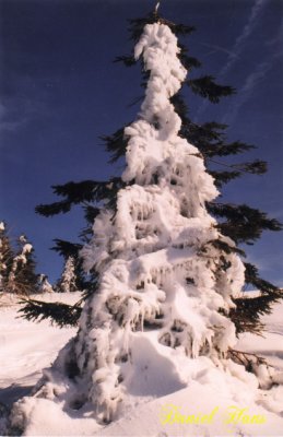 g3/97/833597/3/96464452.9TmDXDF0.jpg