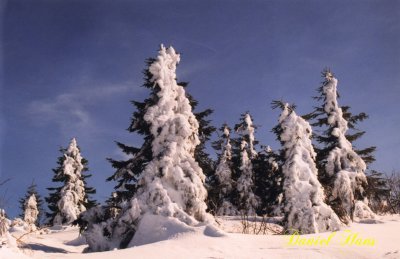 g3/97/833597/3/96464454.5CnJadjZ.jpg