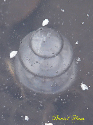 g3/97/833597/3/96464597.Ny8et05I.jpg