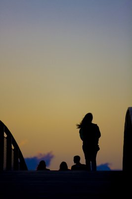IMG_2305.jpg