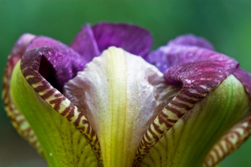 IMG_9188aaa.jpg