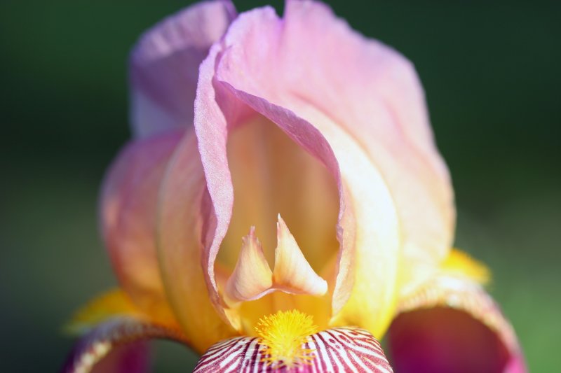 IMG_9216a.jpg