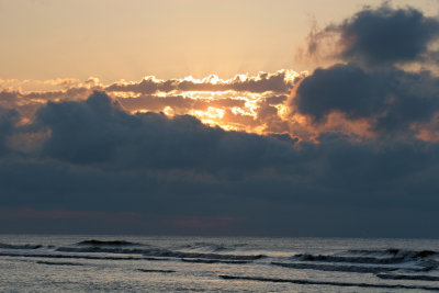 IMG_8730a.jpg