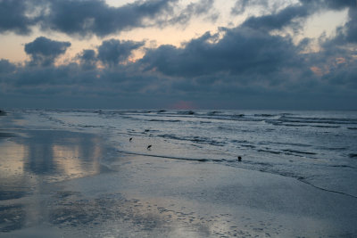 IMG_8725a.jpg