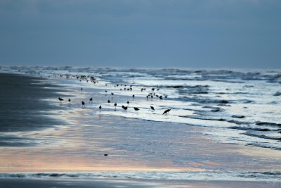 IMG_8733a.jpg
