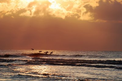 IMG_8742a.jpg