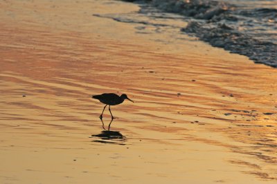IMG_8745a.jpg