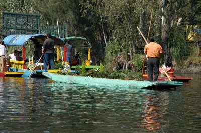 Tree nursery on the river