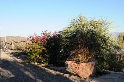 DSC_8967.JPG