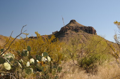DSC_9179.JPG