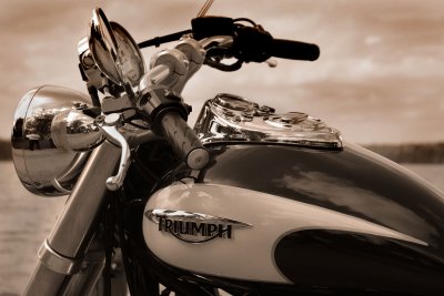 Triumph_1.jpg