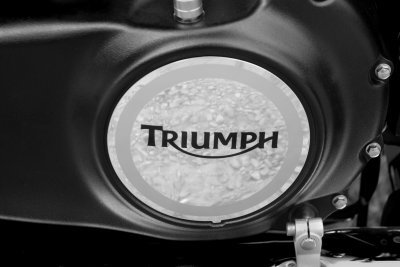 Triumph_2.jpg