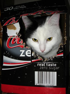 11256 (83).jpg
