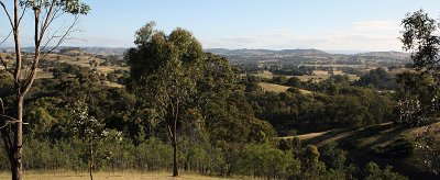 IMG_1182.jpg