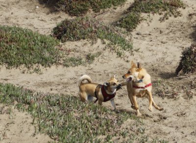 _MG_4822.jpg