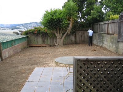 Backyard Remodel - Before