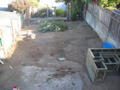 IMG_2096.jpg