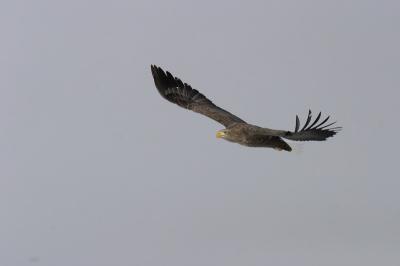 CRW_0471.jpg