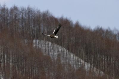 CRW_0489.jpg