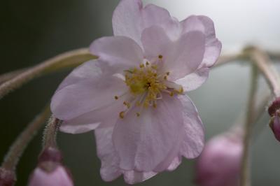 CRW_0602.jpg