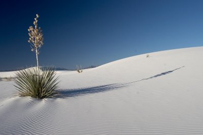 _MG_1377.jpg