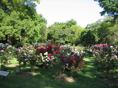 IMG_1536.jpg
