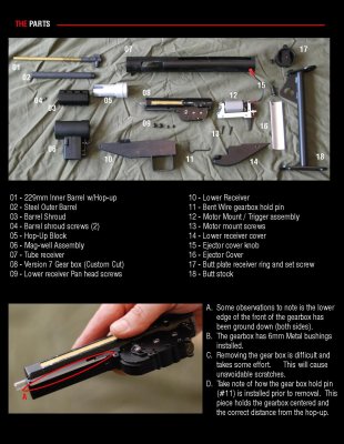 p11.jpg