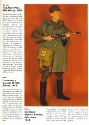 p10.jpg