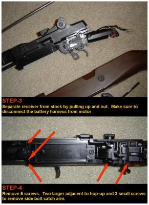 p3-IB.jpg
