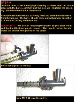 p6-IB.jpg
