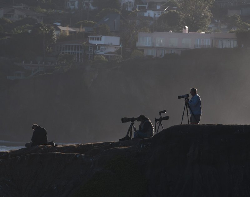 A Beautiful Visit to La Jolla Cove