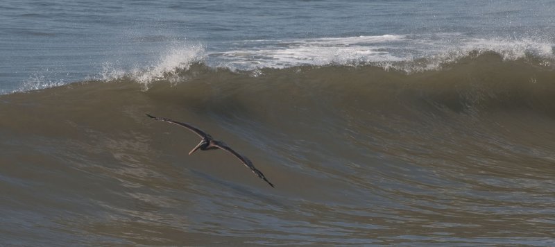 Wave Riding