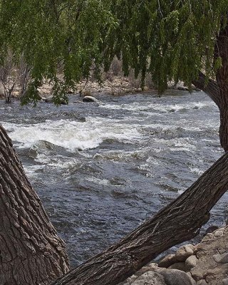 Rapids on Kern in Kernville City Park