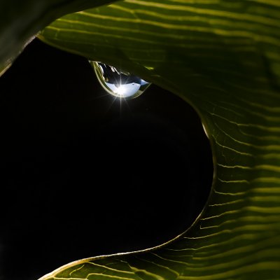 raindrops_22810